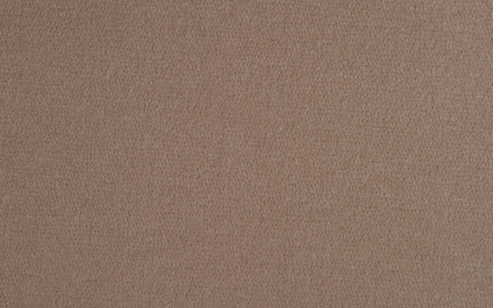 ALderley Edge Velvet Champagne