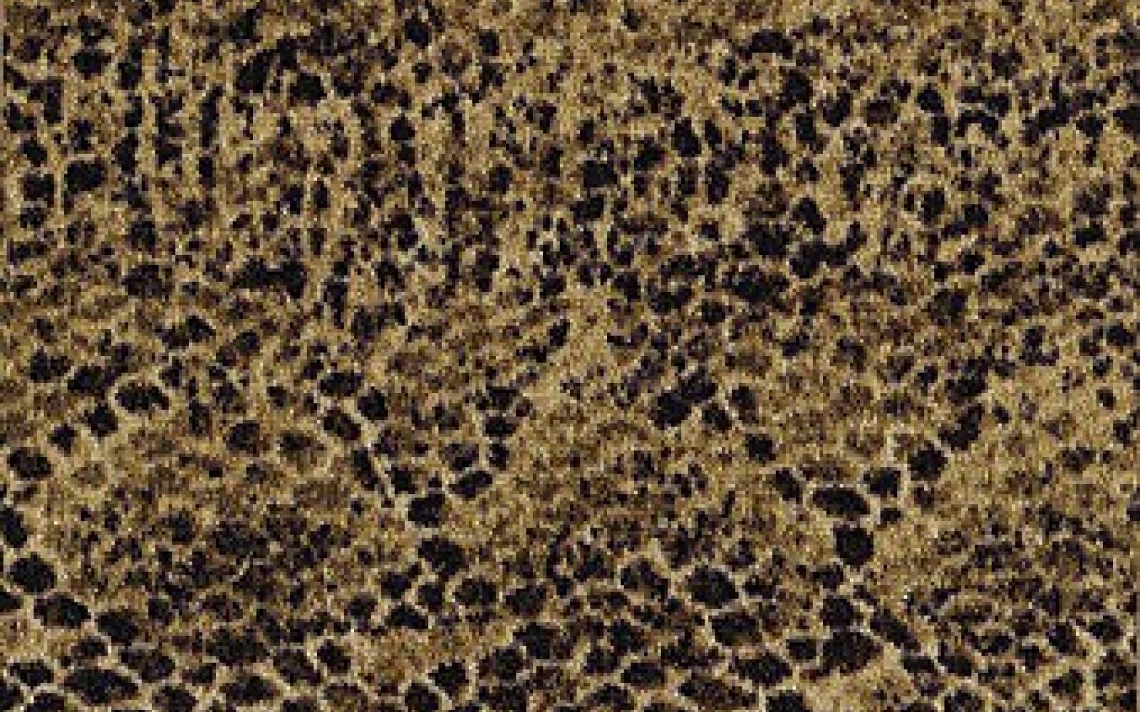 Animal Python Print Carpet