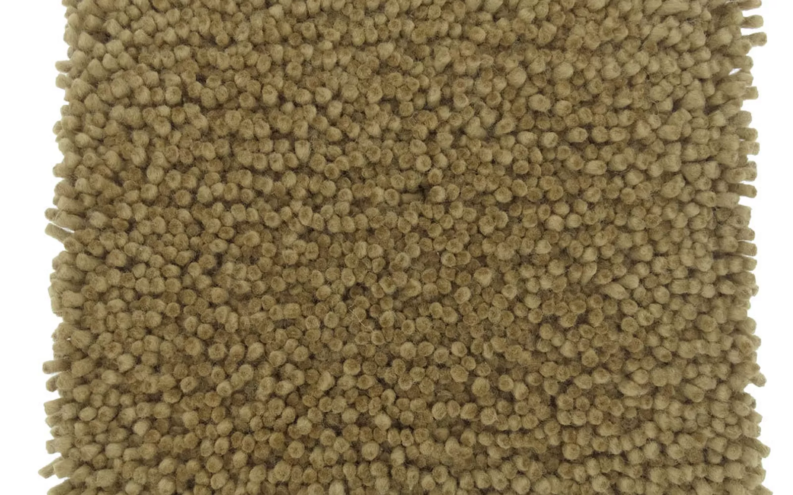 Aspen Flax