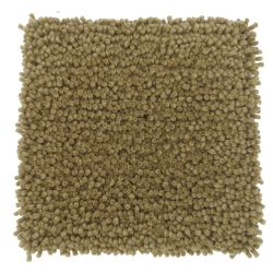 Aspen Flax
