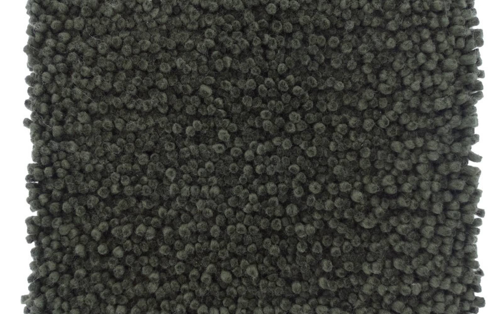 Aspen Moss