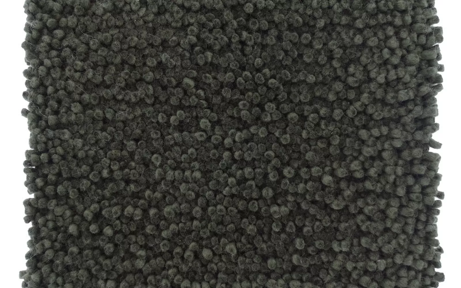 Aspen Moss