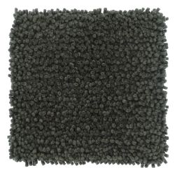 Aspen Moss