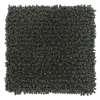 Aspen Moss