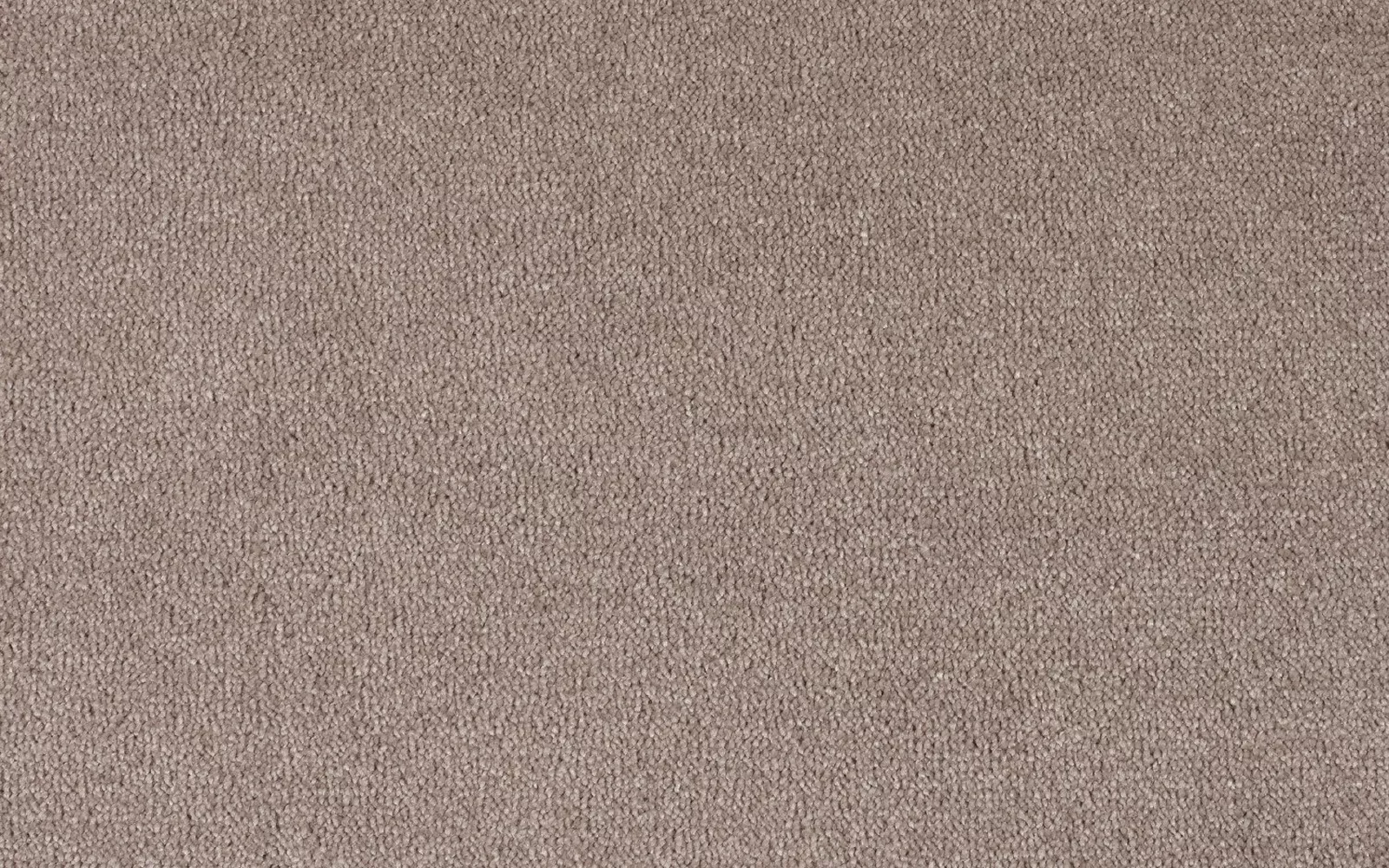 Cheshire Silk Almond