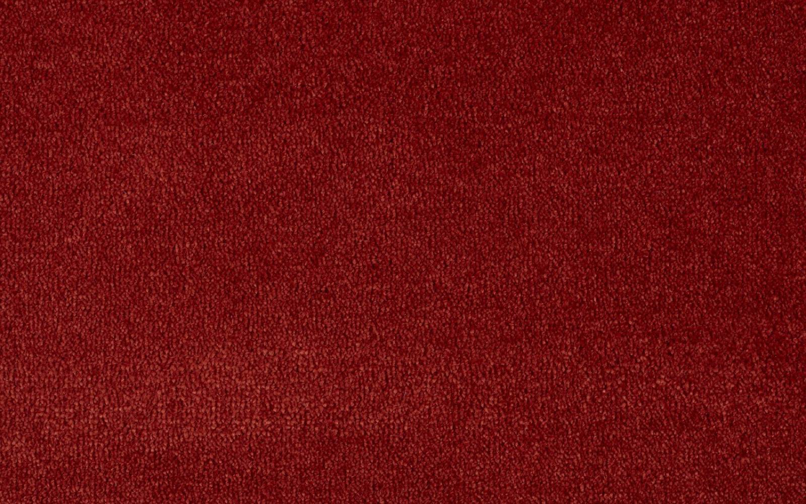 Cheshire Silk Apricot