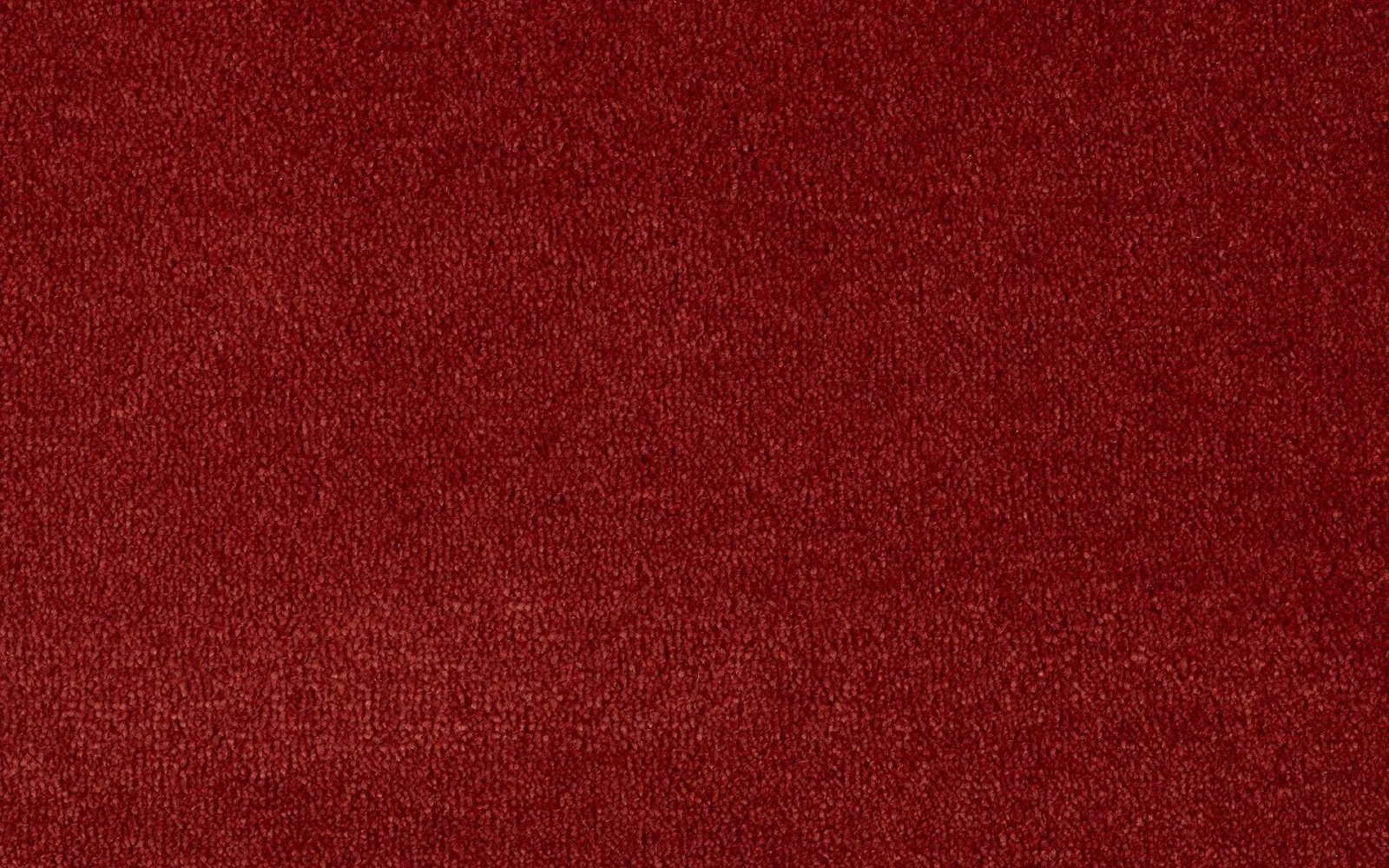Cheshire Silk Apricot