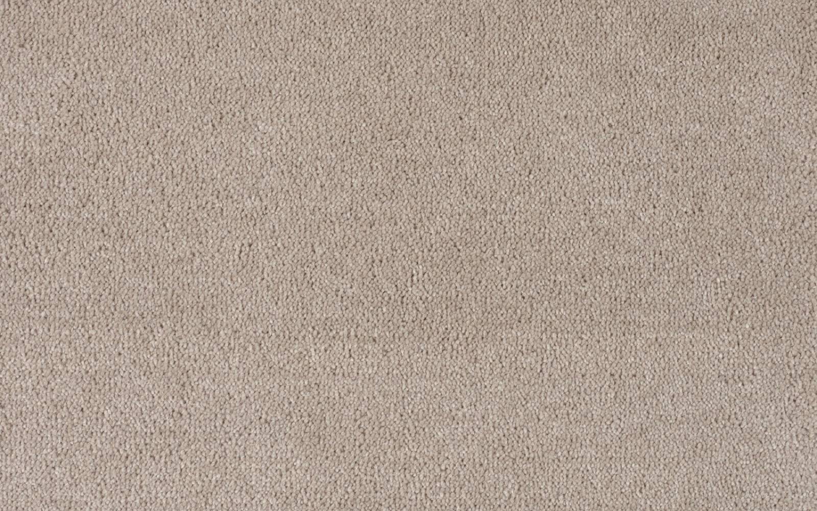 Cheshire Silk Camel