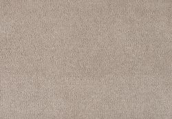 Cheshire Silk Camel
