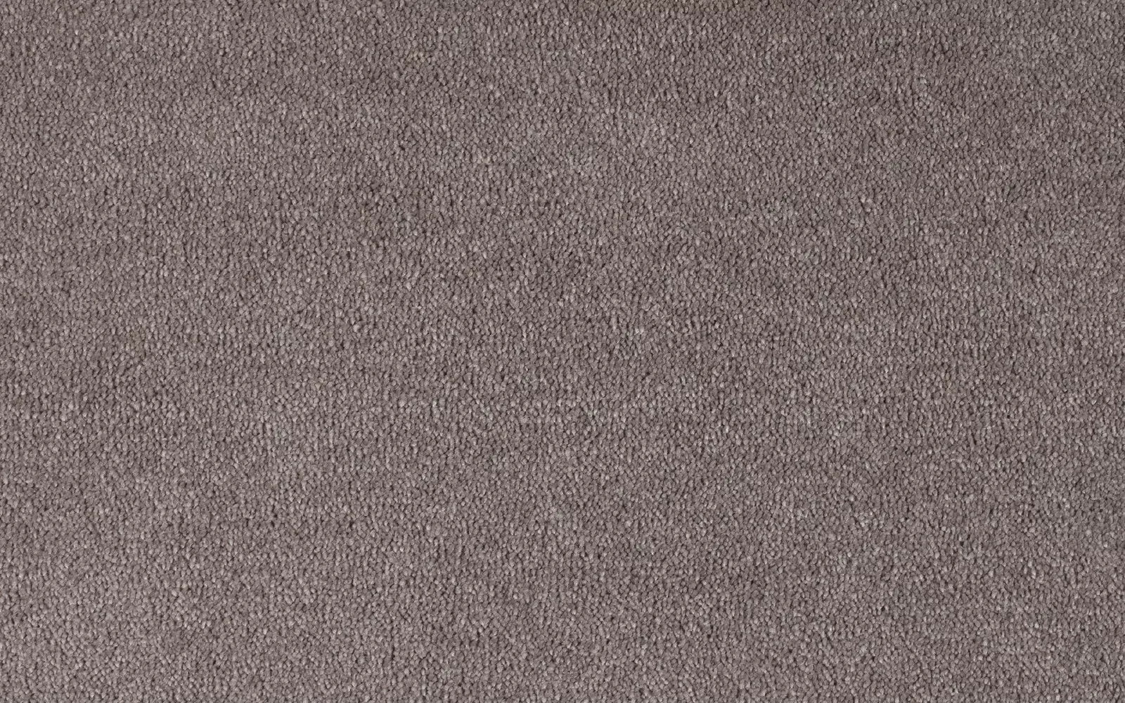 Cheshire Silk Cornsilk
