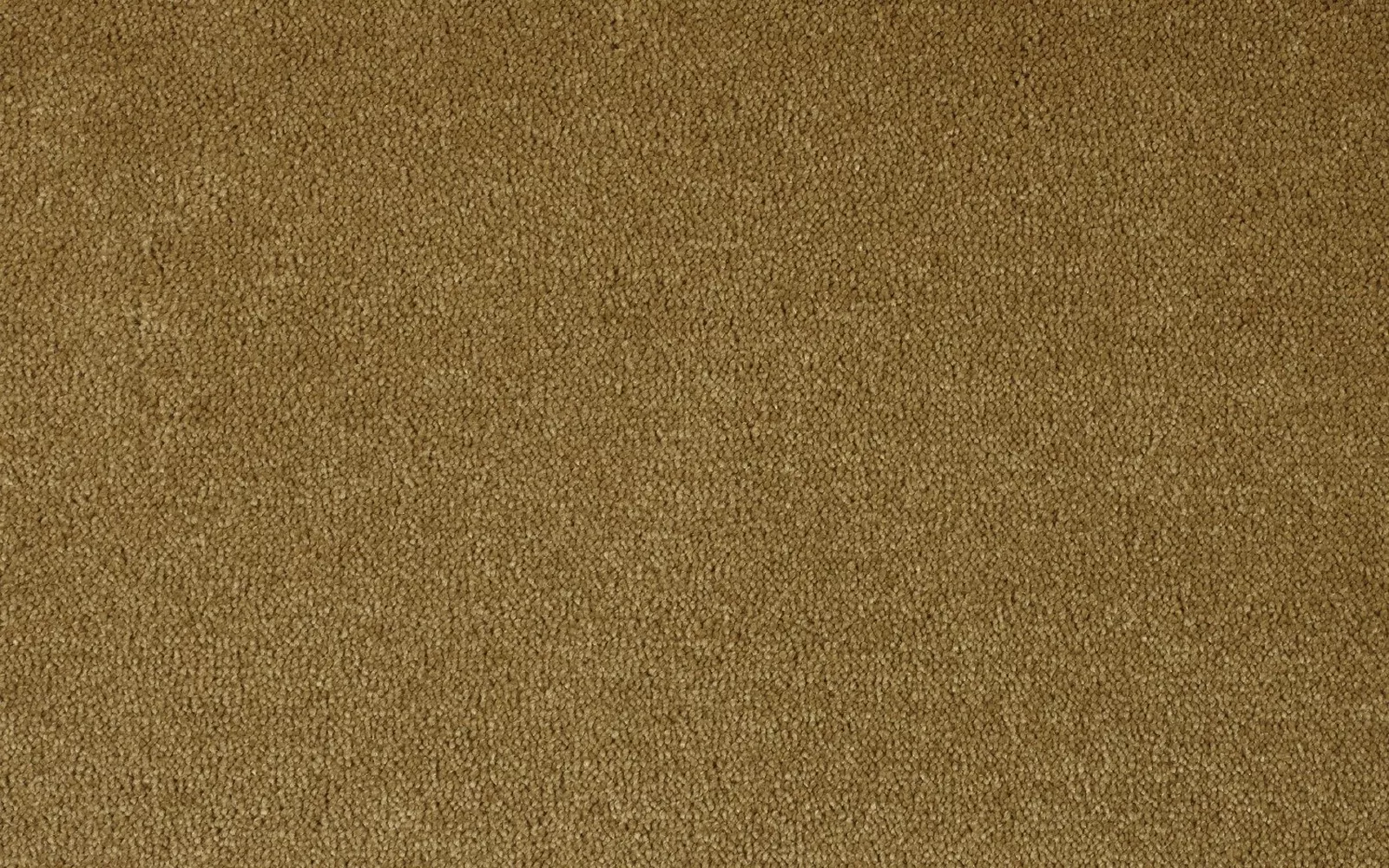 Cheshire Silk Juniper