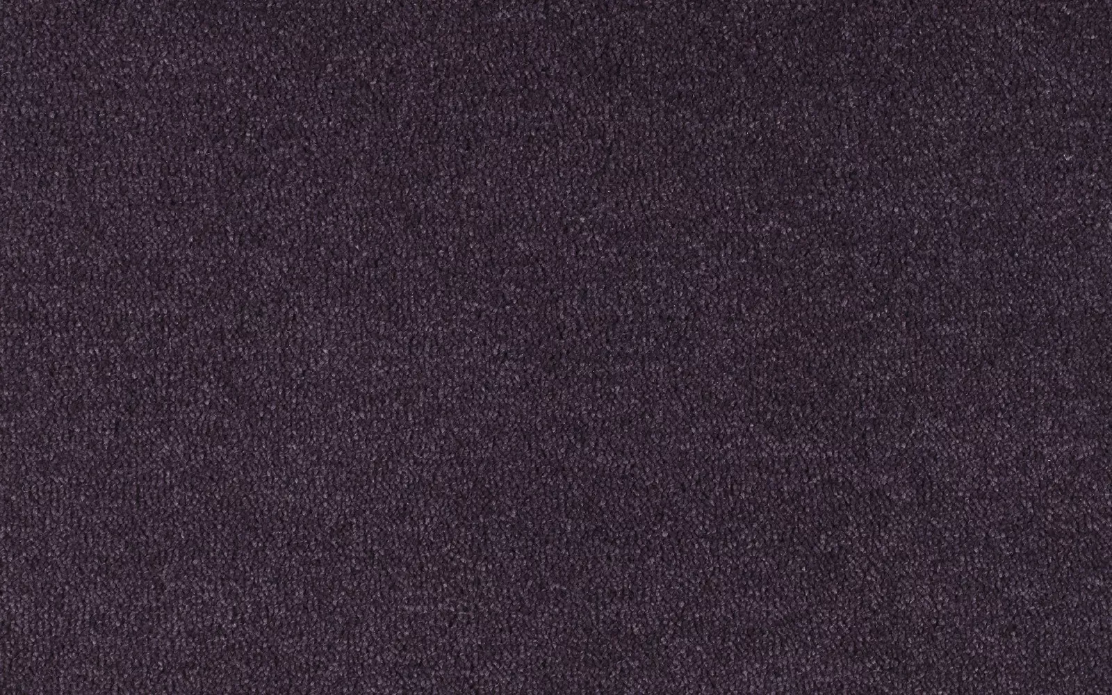Cheshire Silk Purple