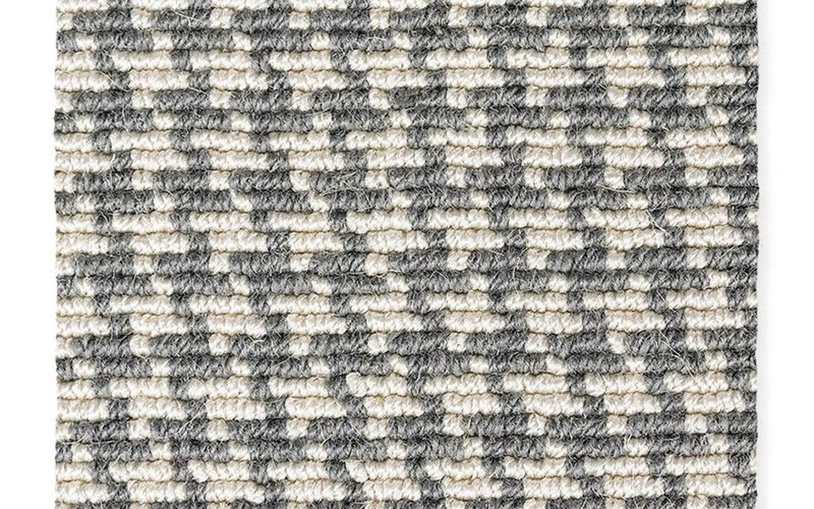 Dogtooth Fossil