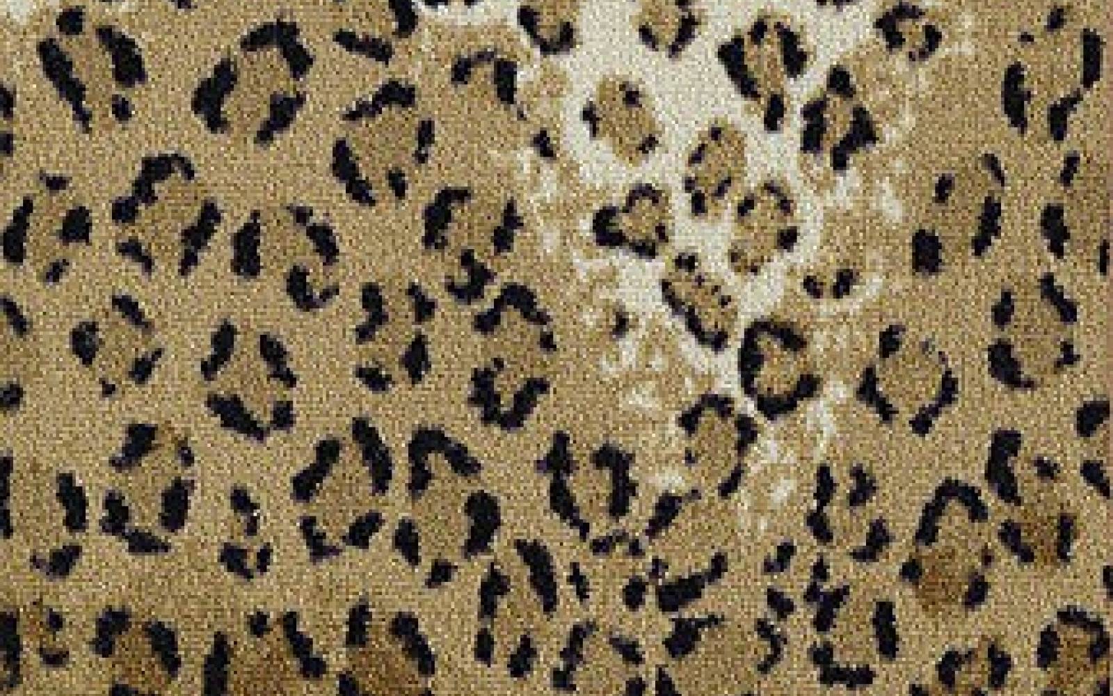 Leopard Print Carpet
