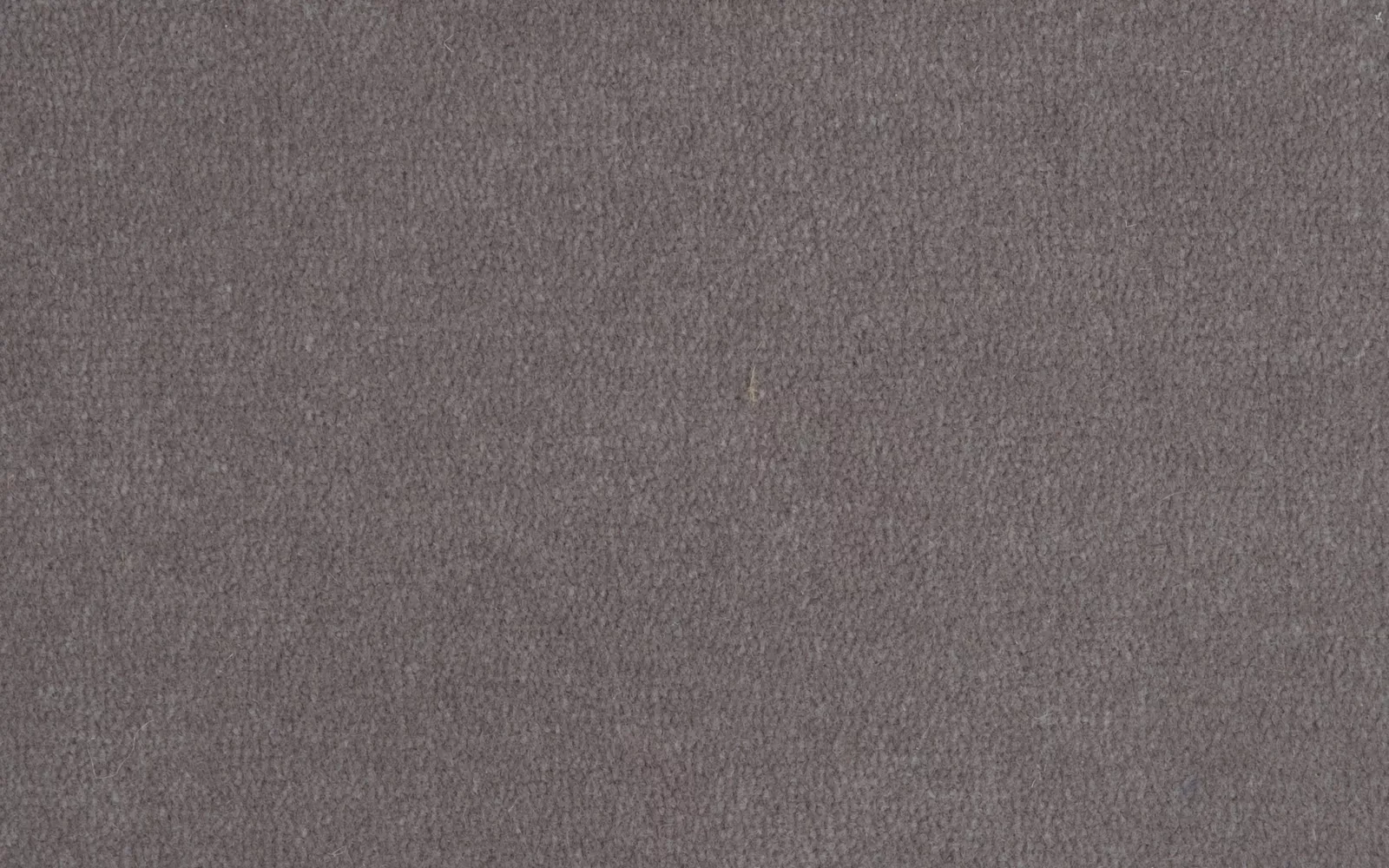Prestbury Velvet Acorn