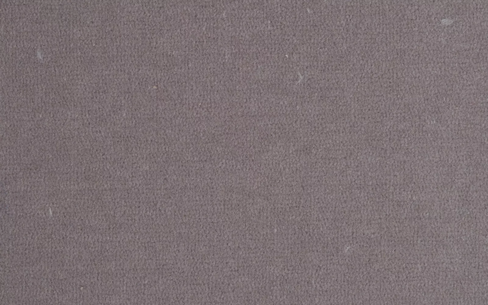 Prestbury velvet Mink