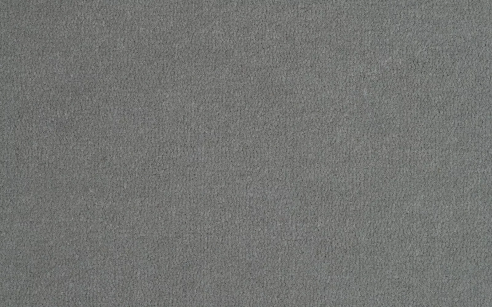 Prestbury Velvet Petal