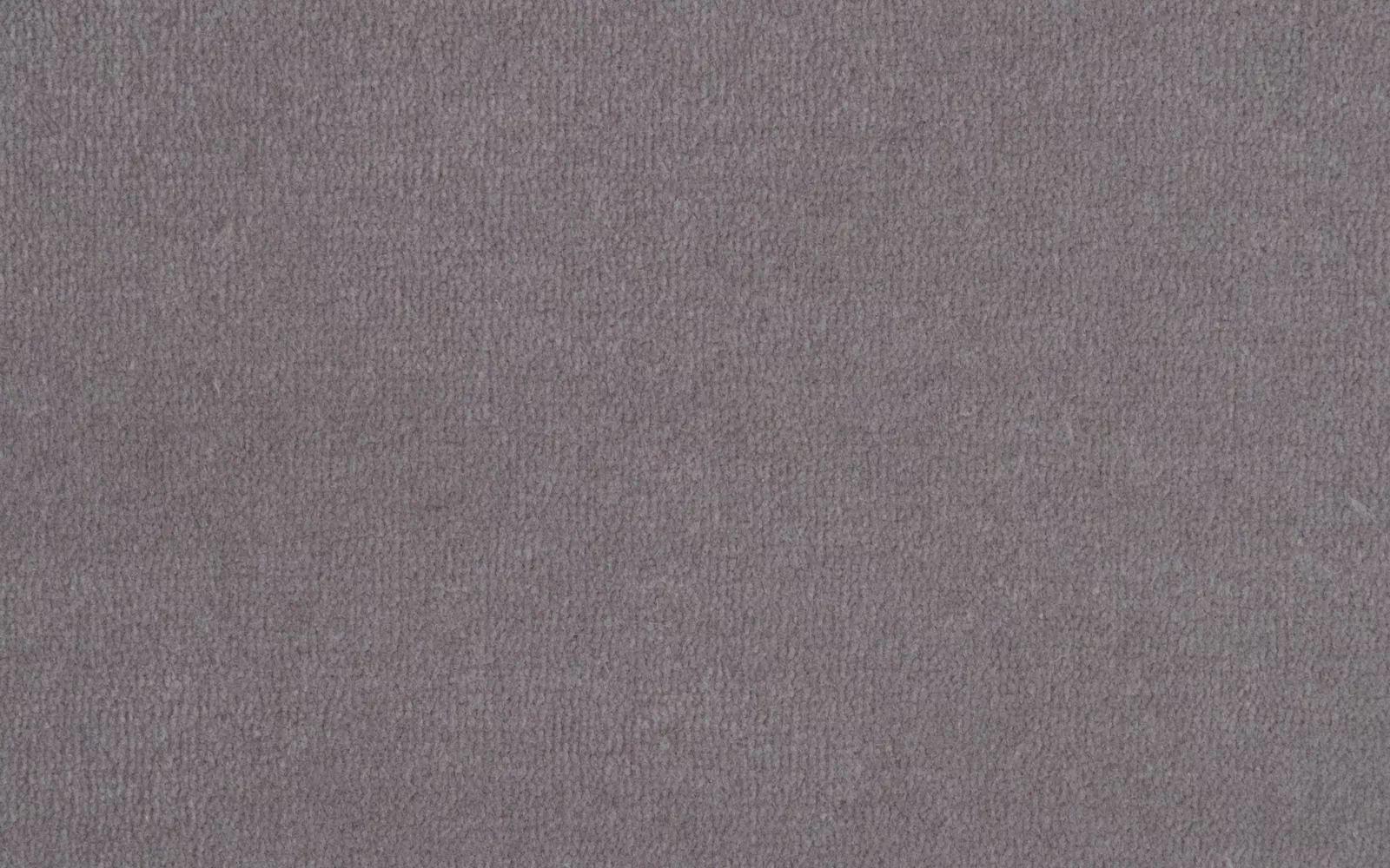 Prestbury Velvet Silver Birch