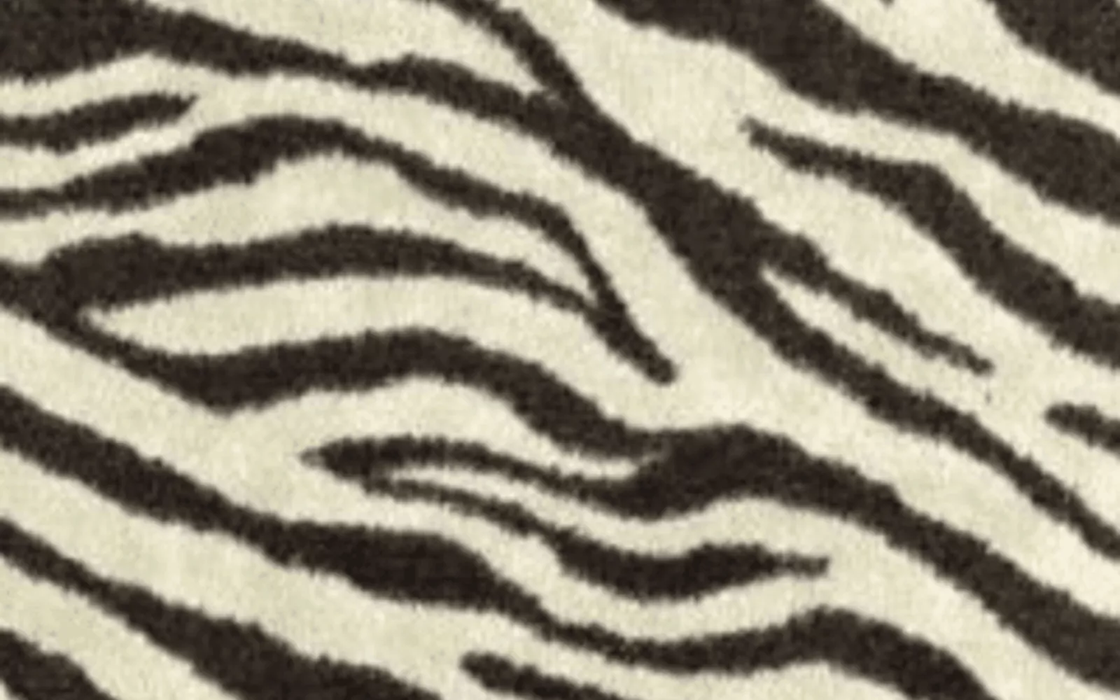 Zebra Print Carpet