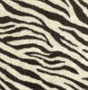 Zebra Print Carpet